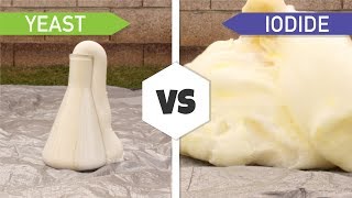 Making Elephant Toothpaste Yeast vs Iodide [upl. by Strader971]