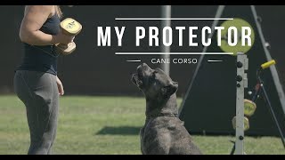 CANE CORSO BEST DOG PROTECTOR Meryl and Marco [upl. by Peppi]