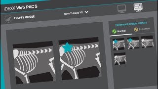 The IDEXX Web PACS Reference Image Library [upl. by Godfree]