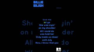 Billie Eilish  Wildflower  Karaoke Version [upl. by Klinges958]