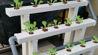 Hydroponic farm At home  Building DIY Hydroponic System [upl. by Etnaihc]