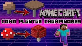 COMO PLANTAR CHAMPIÑONES EN MINECRAFT Tutorial Seta Roja o Marron GiganteEnorme [upl. by Alvar365]