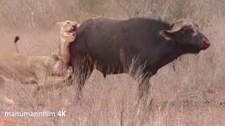 Der Berufsjäger  Die Jagd im Gesäuse [upl. by Melinda]