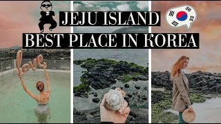 Jeju Trip  KOREA WINTER TRAVEL VLOG [upl. by Atnoled221]