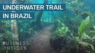 Heavy Rain Turned This Hiking Trail Into An Underwater Paradise [upl. by Vharat]