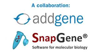 Improved Plasmid Maps Powered by SnapGene [upl. by Karlow536]