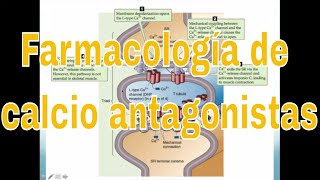 Farmacología del amlodipino del diltiazem y otros bloqueadores de canales de calcio [upl. by Athene]