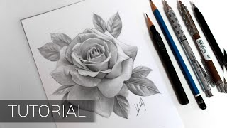 Tutorial  How to Draw a Realistic Rose [upl. by Llerut]