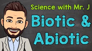 Biotic and Abiotic Factors  Ecosystems [upl. by Rosenblatt218]