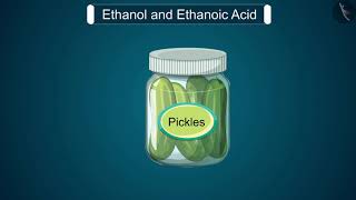 Ethanol and Ethanoic Acid  Part 11  English  Class 10 [upl. by Torrin907]