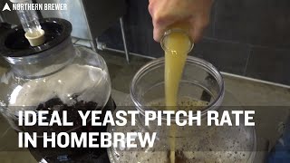 Ideal Yeast Pitch Rate for Homebrew [upl. by Eneles]