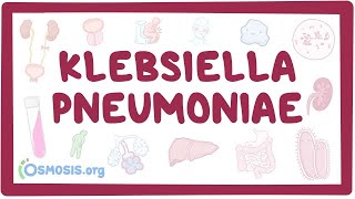 Klebsiella pneumoniae  an Osmosis Preview [upl. by Mann]