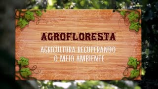 Agrofloresta  agricultura recuperando o meio ambiente 2019 [upl. by Amjan353]