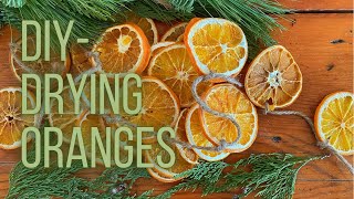 How to Dry Orange Slices  DIY Holiday Decor  PepperHarrow Farm [upl. by Ailes]