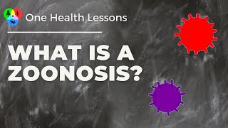 Watch Lesson What is a zoonosis [upl. by Yellhsa286]