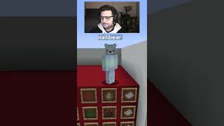 WALLIBEAR TAKES ON MOB ARENA gaming ⁠youtube funny minecraft memes tiktok shorts ytshorts [upl. by Stedmann314]