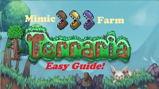 Terraria  Mimic Farm  A Beginners Guide to Easy Efficient AFK Mimic amp Platinum coin farming [upl. by Ettenajna759]