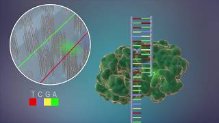 Sequencing at Speed [upl. by Anahsal]