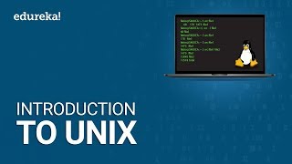 Introduction to UNIX  UNIX Tutorial for Beginners  UNIX Training  Edureka [upl. by Linskey295]