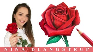 How to Draw a Realistic Rose  Step by Step Tutorial for Beginners [upl. by Naened614]