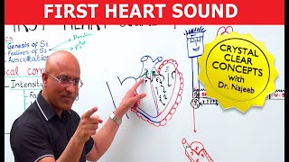 S1 Heart Sounds and Murmurs  First Heart Sound  Dr Najeeb🫀 [upl. by Publias905]