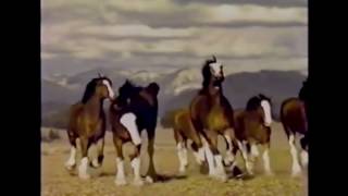 Top 10 Budweiser Super Bowl commercials 1 [upl. by Llennahc]