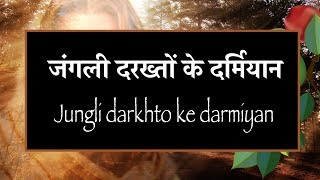 जंगली दरख्तों के दर्मियान Jungli darkhto ke darmiyan [upl. by Donall]