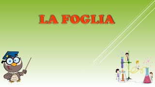 La foglia [upl. by Tnarud]