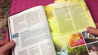 NLT Illustrated Study Bible [upl. by Sirob]