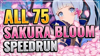 ALL 75 SAKURA BLOOM LOCATIONS DETAILED  EFFICIENT ROUTE Genshin Impact Farming Route Inazuma [upl. by Abbey]