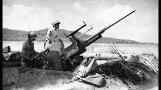 American Anti Aircraft Artillery of WWII [upl. by Jereme582]