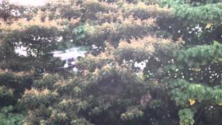 Walkera scout x4 first flight test [upl. by Zeph]