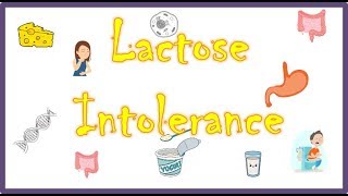 LACTOSE INTOLERANCE  PathophysiologyCausesSigns and symptomsTreatment [upl. by Berkin]