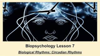 ALevel Psychology AQA Biopsychology  Circadian Rhythms [upl. by Ecneralc]