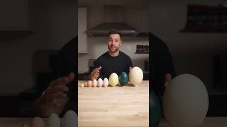 I Cooked the World’s CRAZIEST Eggs [upl. by Htenay]