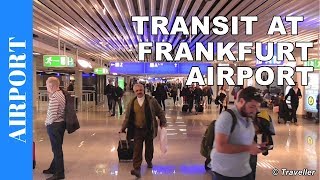 TRANSIT WALK AT FRANKFURT Airport FRA Terminal 1  Connection Flight Transfer Arriving amp Departing [upl. by Rosemary]