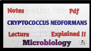 Cryptococcus neoformans Microbiology [upl. by Cummine]