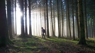 Metal detecting quotArdennes Forest SPECIALquot 25 [upl. by Uella331]