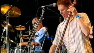 Barenaked Ladies  Call And Answer  Glastonbury 1999 [upl. by Lytsirk]