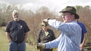 HandsOn Blueberry Pruning Workshop North Carolina [upl. by Linetta]