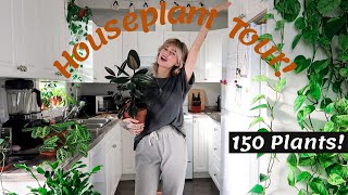 Houseplant Tour 2020  150 plants in my small home rare and common [upl. by Autry930]