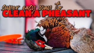 Easiest Way to Clean a Pheasant [upl. by Osswald535]