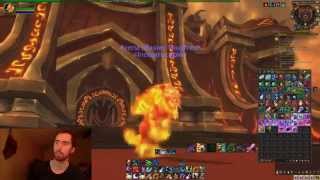 How to get Permanant Fire Cat Form For Druids Fandrals Seed Pouch [upl. by Orlanta]