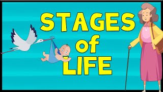 Stages of Life  Vocabulary  Minimal English [upl. by Enenstein271]