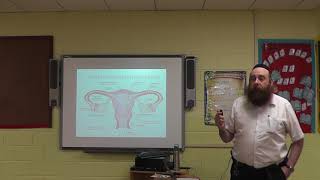 EMT Lecture  OBGYN amp Neonatal Care [upl. by Anelrihs860]