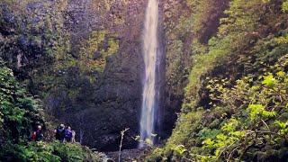 Walking Madeira  quotCaldeirão Verdequot levada walk [upl. by Ferdinanda]