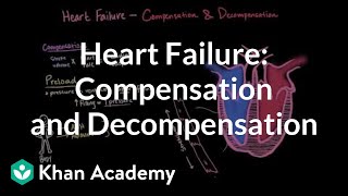 Compensation and decompensation in heart failure  NCLEXRN  Khan Academy [upl. by Nwahsiek842]