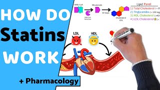 How do Statins Work  Pharmacology [upl. by Geaghan]