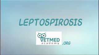 Introduction to Leptospirosis [upl. by Aslehc]