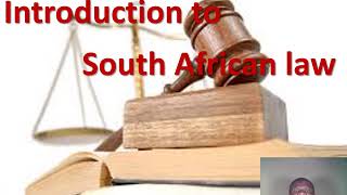 Introduction to South African Law Philani Lithandane Ndlovu [upl. by Goldy]